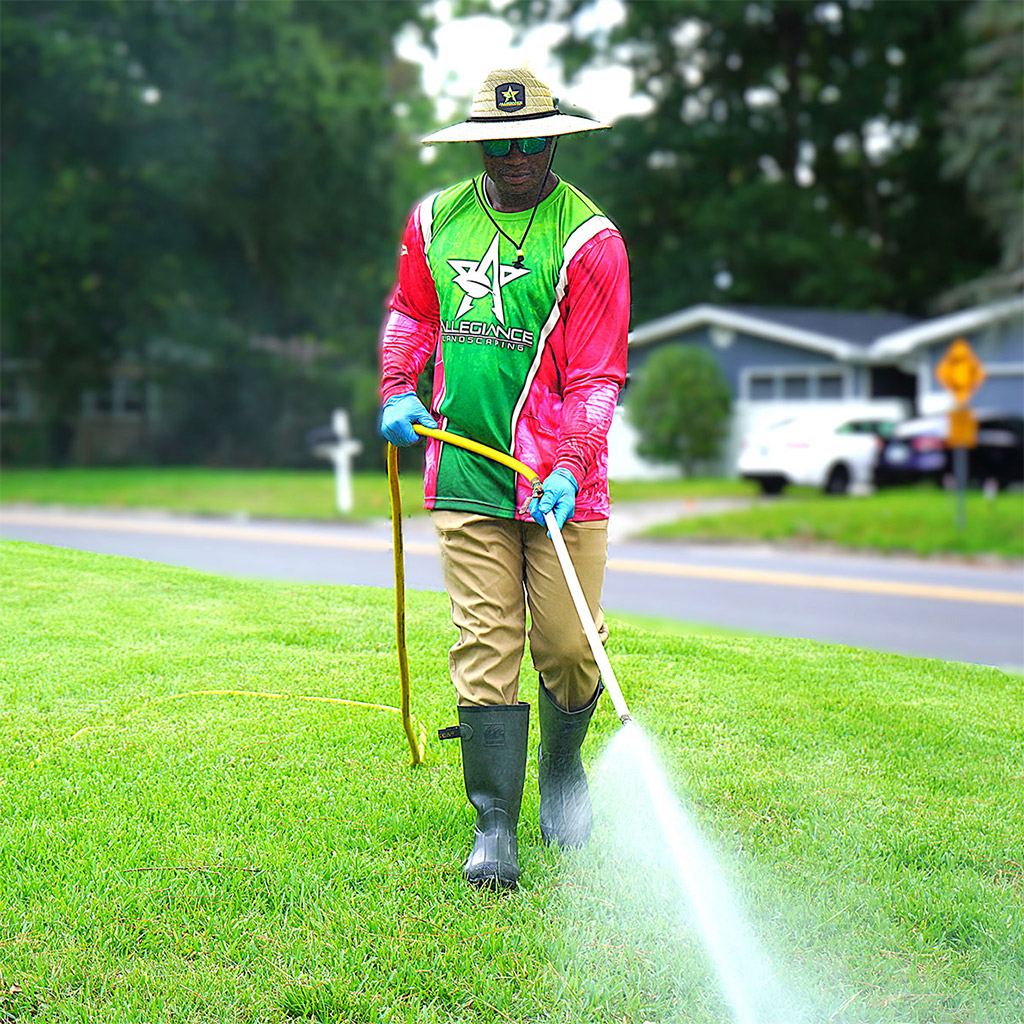 Why Everyone Is Talking About Azaleas This Year