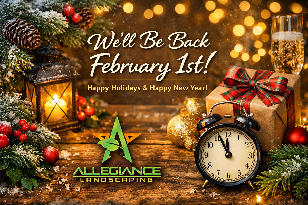 We'll Be Back Feburary 1st