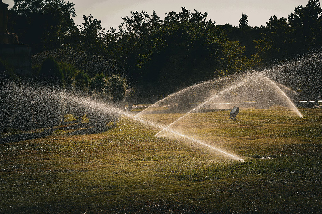 Florida Landscape Construction Planning for Commercial Properties