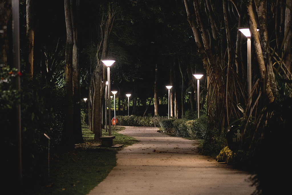 Best Landscape Lighting Ideas for Florida Commercial Properties