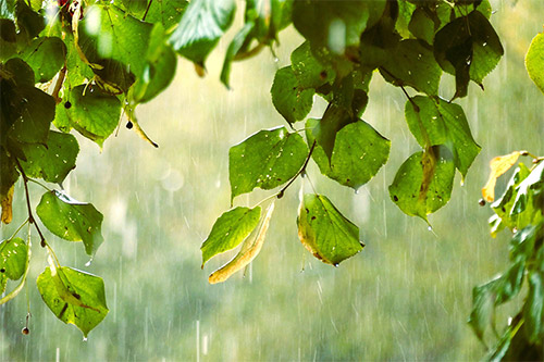 Why Stormwater Problems Keep Returning on Florida Commercial Properties And What Property Managers Can Do About It