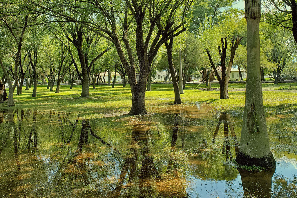 Florida Hurricane Landscape Preparation for HOA & Commercial Properties