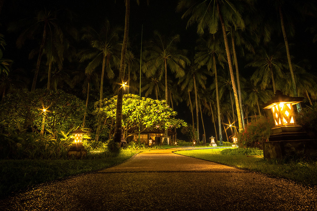 Low-Maintenance Landscape Lighting for Florida Commercial Properties