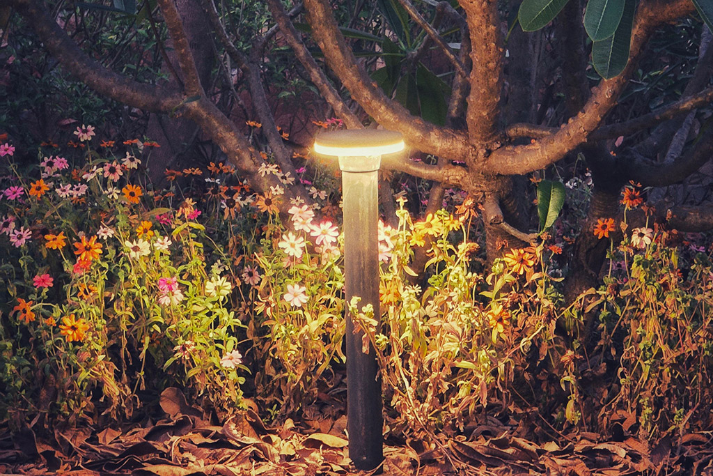 Low-Maintenance Landscape Lighting for Florida Commercial Properties