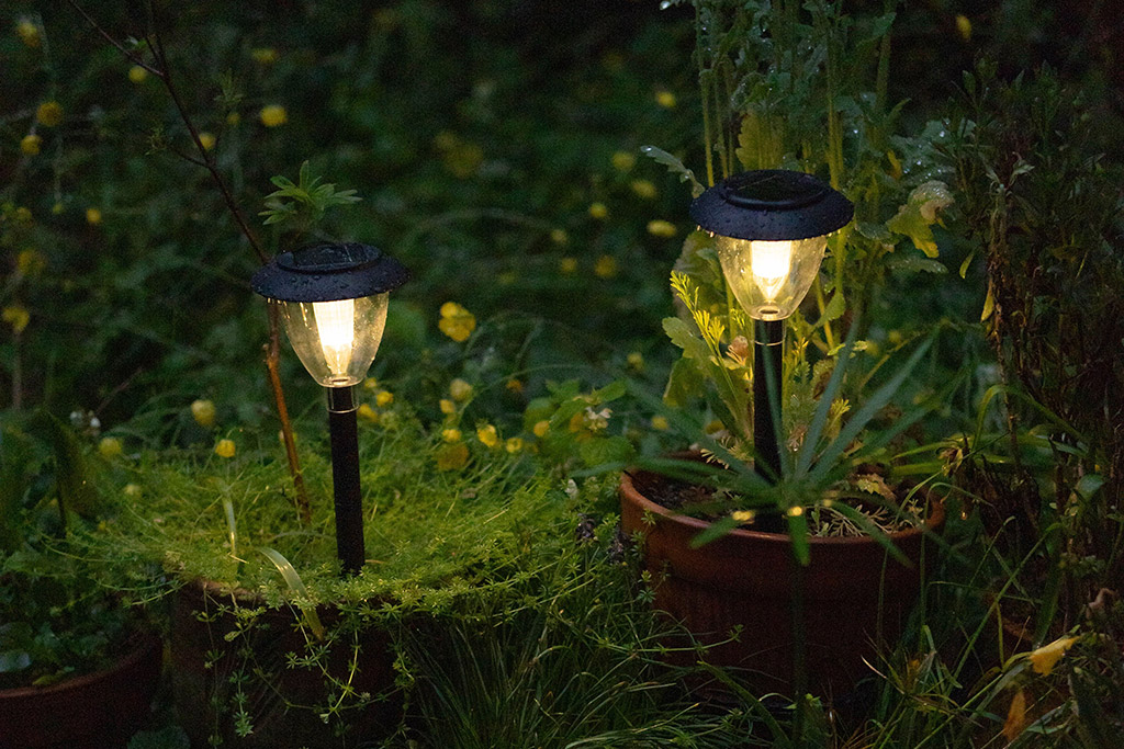 Low-Maintenance Landscape Lighting for Florida Commercial Properties