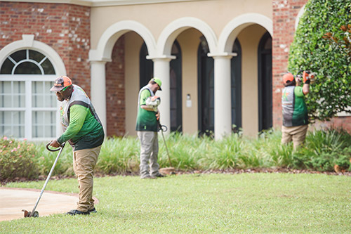 The Complete Guide to Commercial Landscape Management in Gainesville, Florida